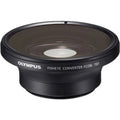 Olympus V321190BW000; 19 mm; Conversion Fixed Lens