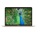Apple Macbook Air 13.3-inch (Retina; Gold) 1.2GHZ Quad Core i7 (2020) Laptop 256GB HD & 8GB RAM-Mac OS (Refurbished)