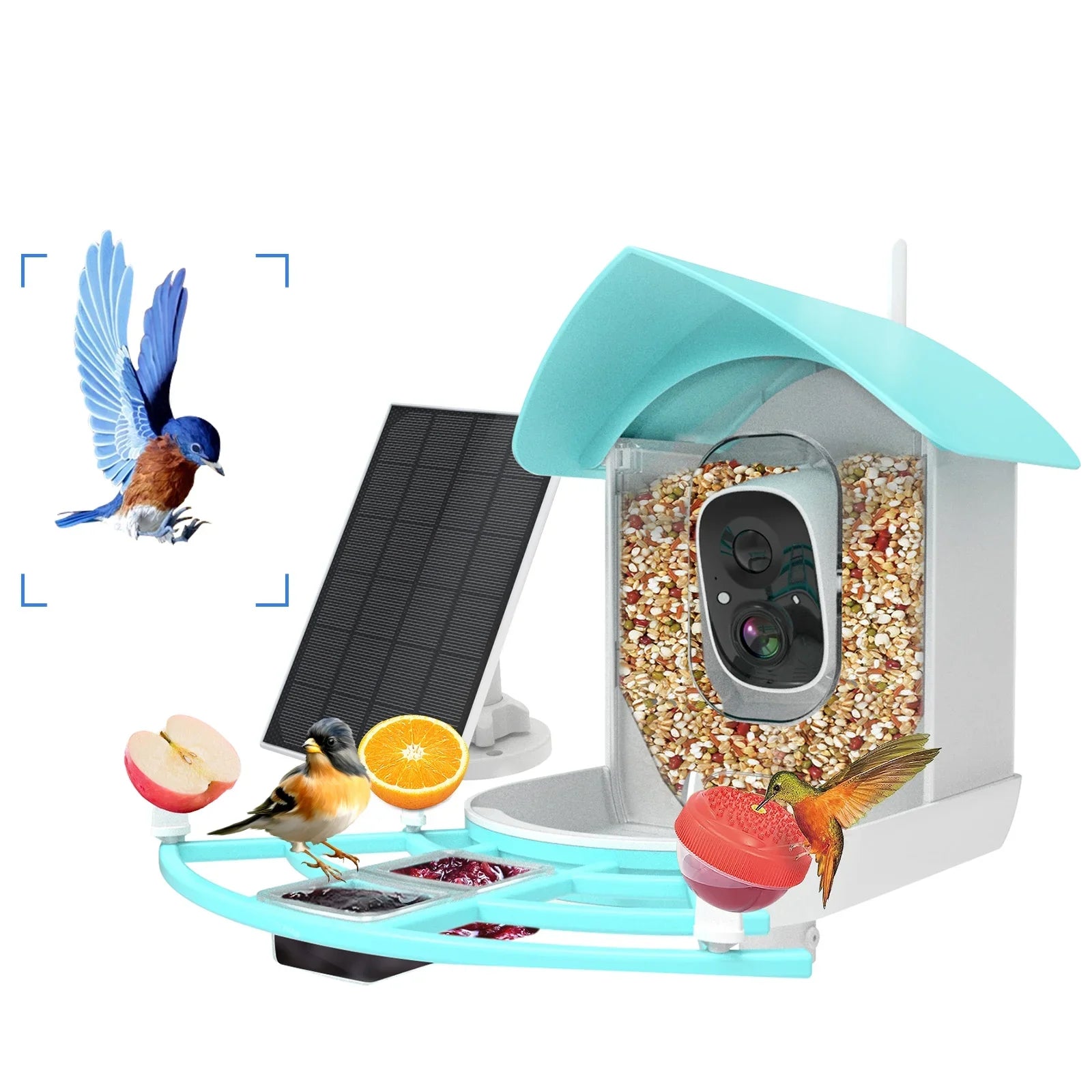 Pristin camera;Video Vico App WiFi Wireless Camera Resolution PIR AI Species Solar Powered Feeder Camera RUSUO Squirrel Proof feeders Camera 1080P Camera Wi-Fi 1080P Video