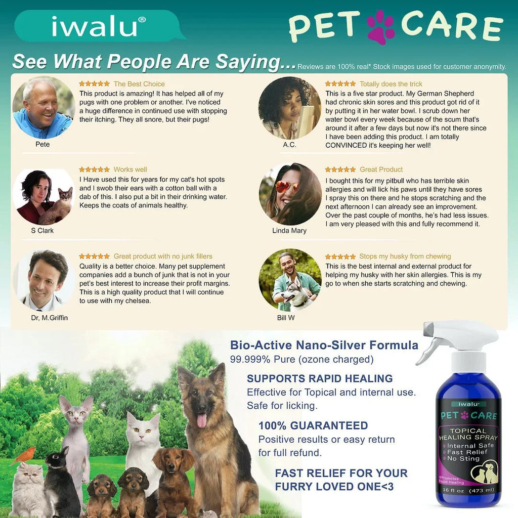 Allergy Medication For Dog Cat Itchy Skin Relief Dog Skin And Coat Supplement Anti Itch Relief Anti Hot Spot Paw Cleaner Soother Treatment Best Dog Moisturizer For Dry Skin Pet Wound Care Apply (16oz)