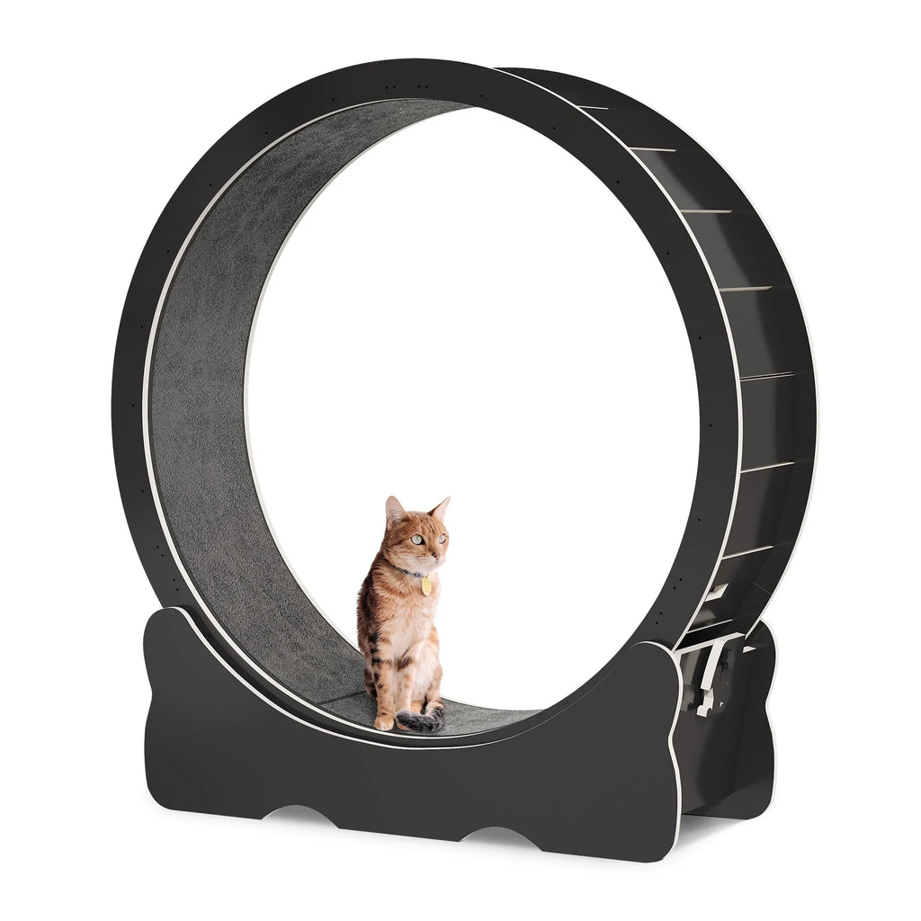 Dextrus Cat Wheel Exerciser for Indoor Cats; 43.3 inch Large Cat Exercise Running Wheel Treadmill with Ultra Low Noise and Detachable Carpet for Cat's Fitness and Health
