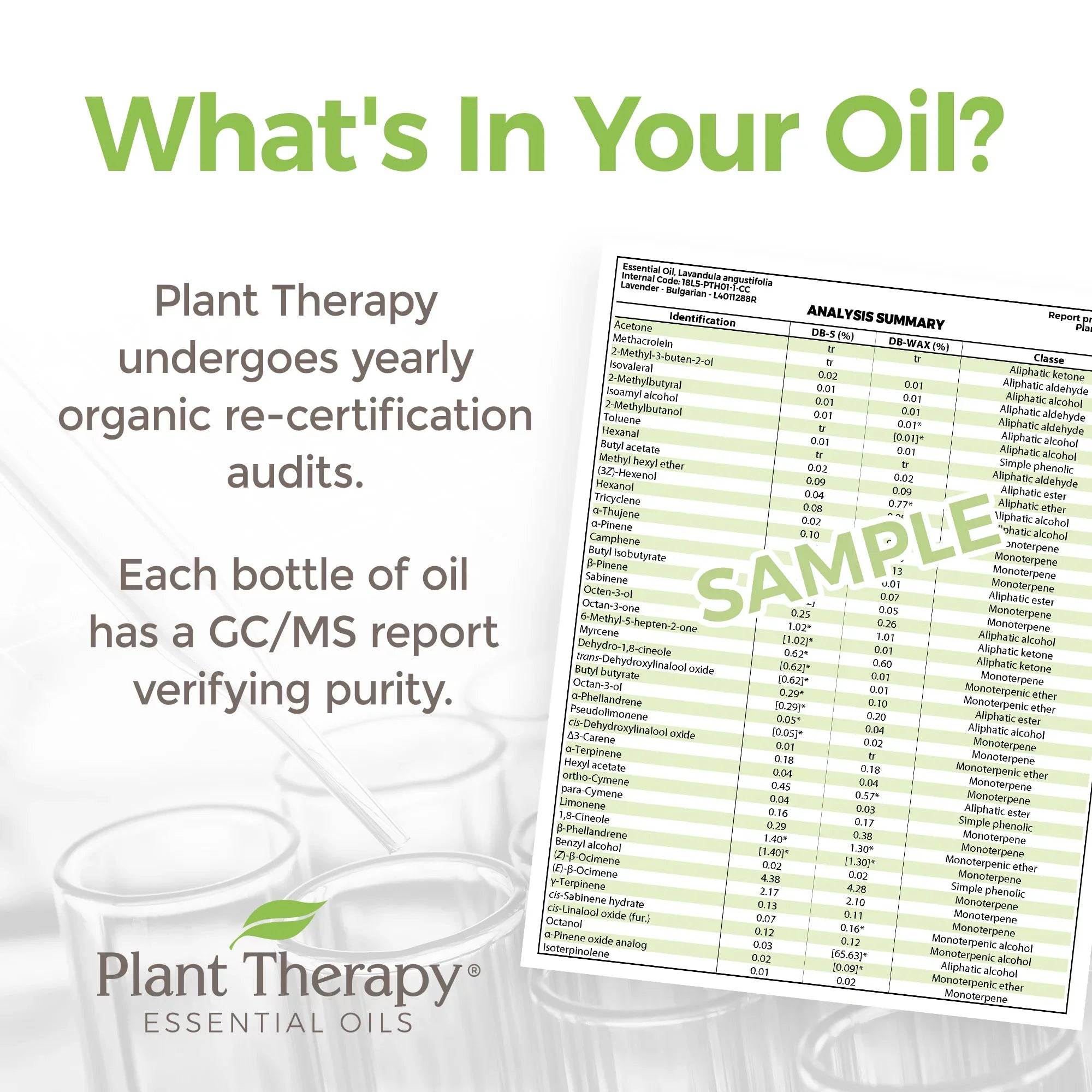 Plant Therapy Organic Tea Tree Oil (Melaleuca) 100% Pure; USDA Certified Organic; Undiluted; Natural Aromatherapy; Therapeutic Grade 100 mL (3.3 oz)