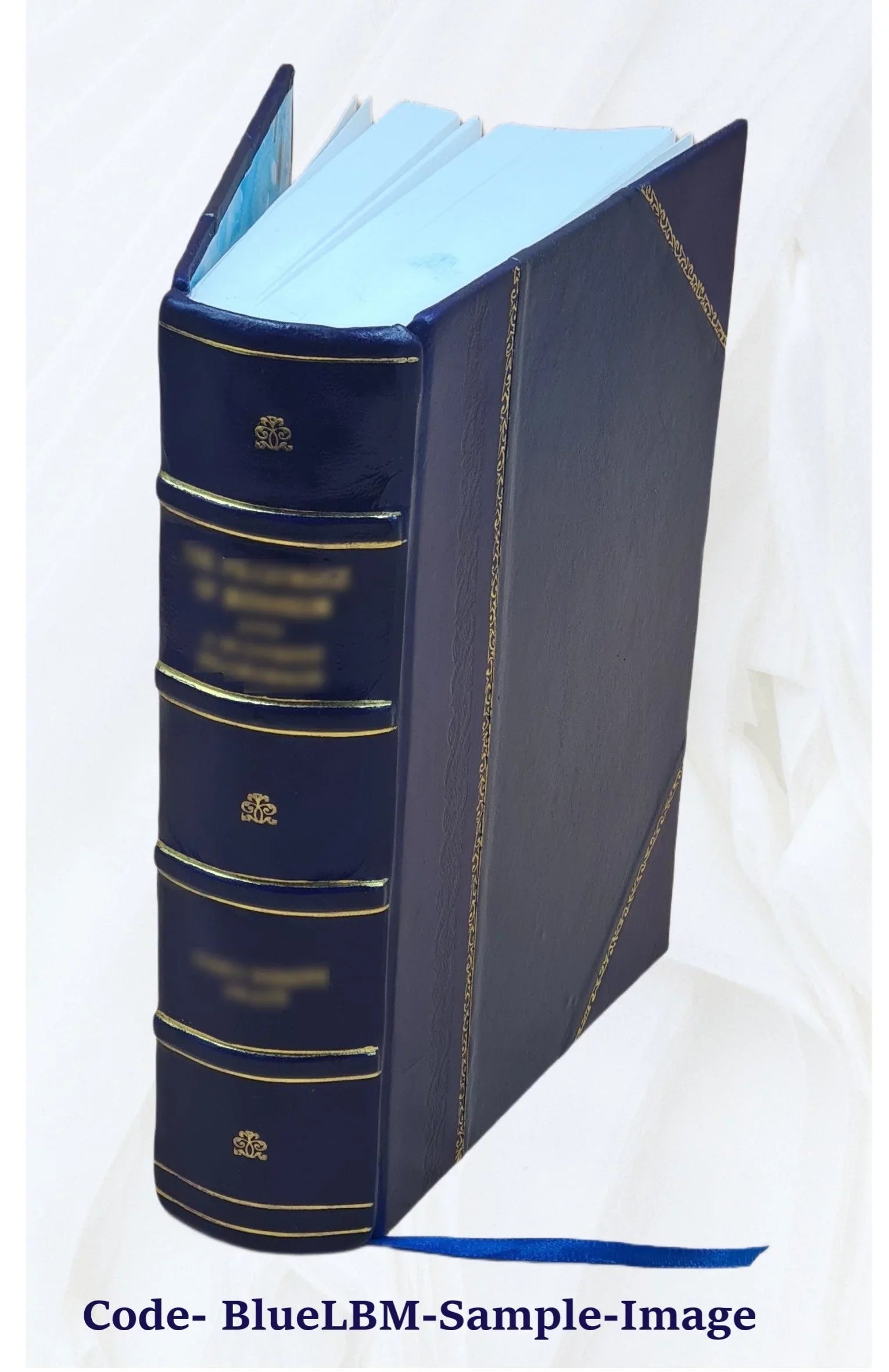 Narrative of the surveying voyages of His Majesty's ships Adventure and Beagle : between the years 1826 and 1836 ... / [by P.P. King; R. Fitzroy and C. Darwin] Volume v.2 1839 [Lea