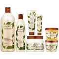 Mizani True Textures All In One - 7 Pieces Set (Shampoo 33.8 Oz + Conditioner 16.9 Oz + Hair Mask 16.9 Oz + Oil Gel 11oz + Pudding 8oz + Lotion 5oz + Coil Jelly 8oz)