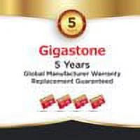 Gigastone 128GB Micro SD Card; 4K Game Pro; Nintendo Switch Compatible; A2 Run App; 4K Video Recording; Micro SDXC R/W up to 100/50MB/s; 2 Pack (2x128GB)