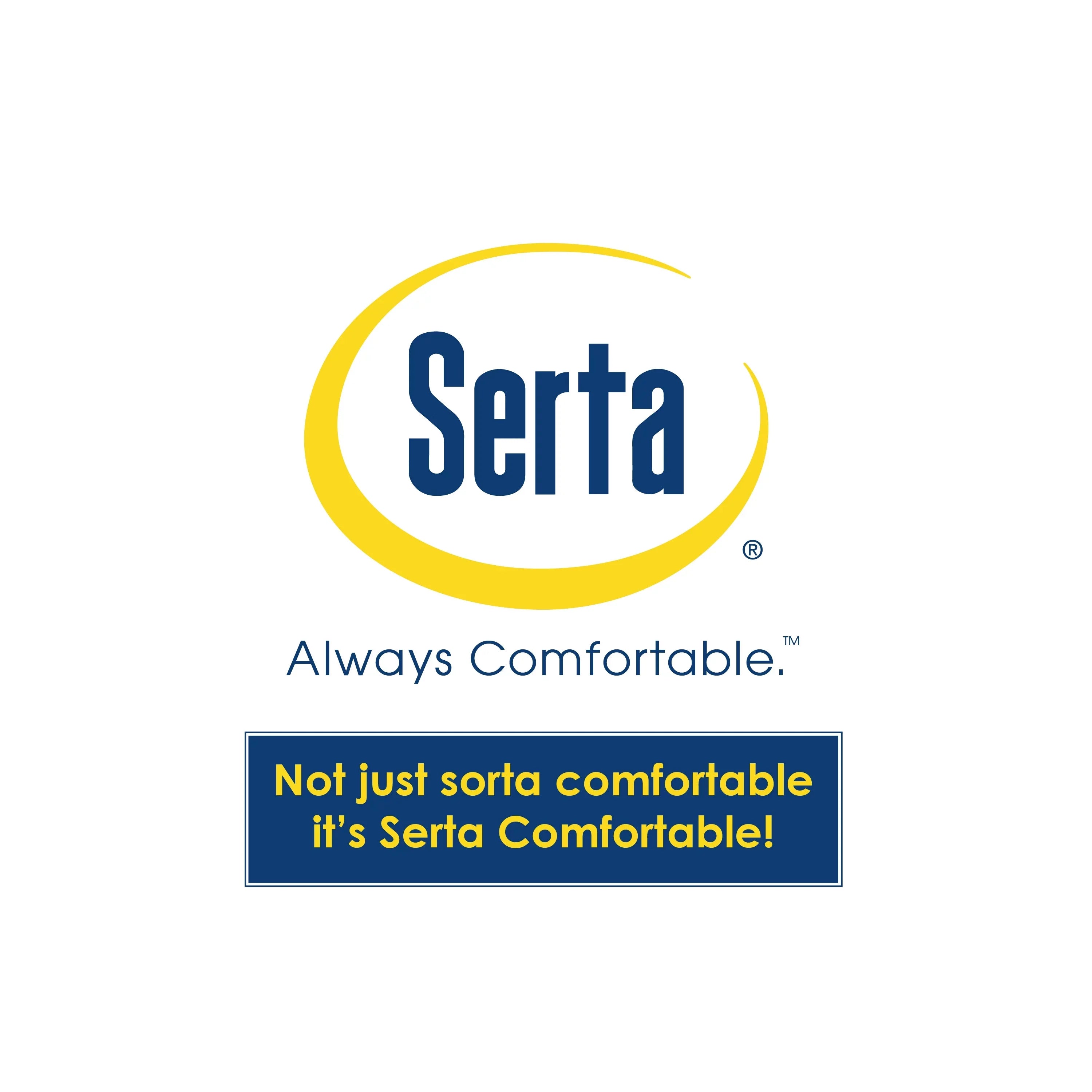 Serta Windsor Futon with Storage and Power; Gray Fabric
