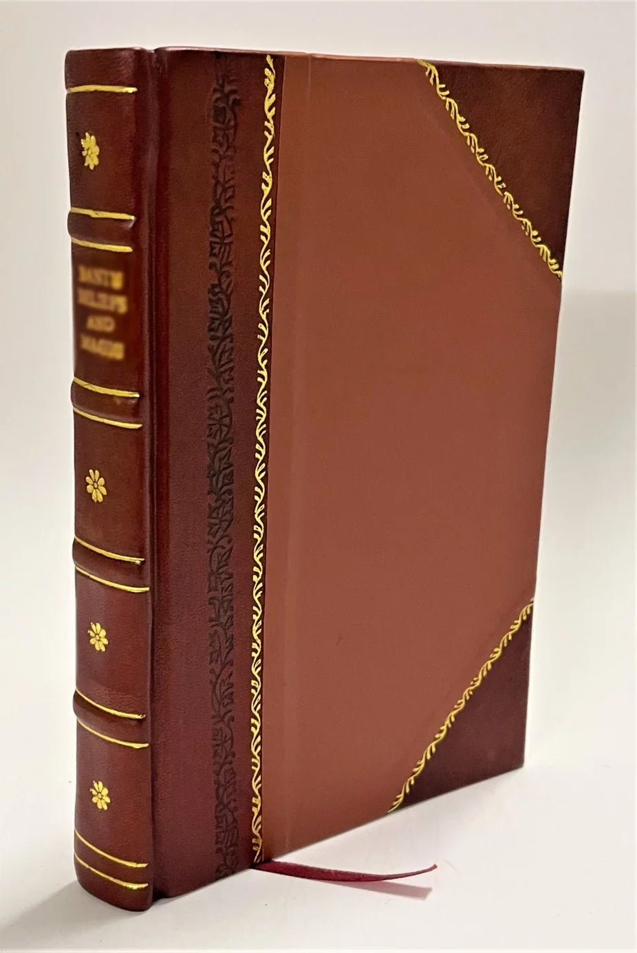 Current-activated Light Installations ... V.1-2: A Practical Handbook Volume 1 / David Salomons (1898) [Leather Bound]