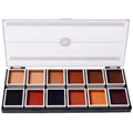 Narrative Cosmetics 12 Color Dark Flesh Tone Alcohol Activated Makeup Palette for Special Effects - Fluidproof Dark Flesh Tone Makeup for Professional Makeup Artists