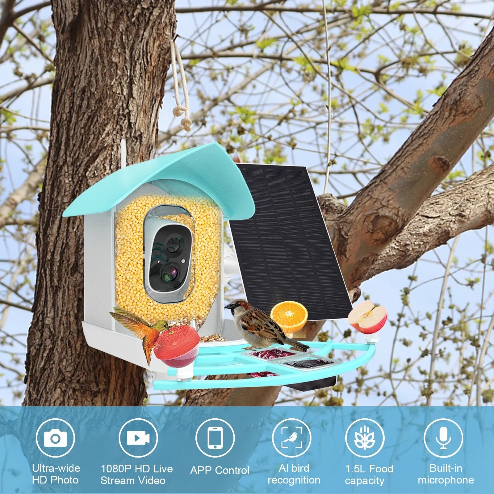 Pristin camera;Video Vico App WiFi Wireless Camera Resolution PIR AI Species Solar Powered Feeder Camera RUSUO Squirrel Proof feeders Camera 1080P Camera Wi-Fi 1080P Video