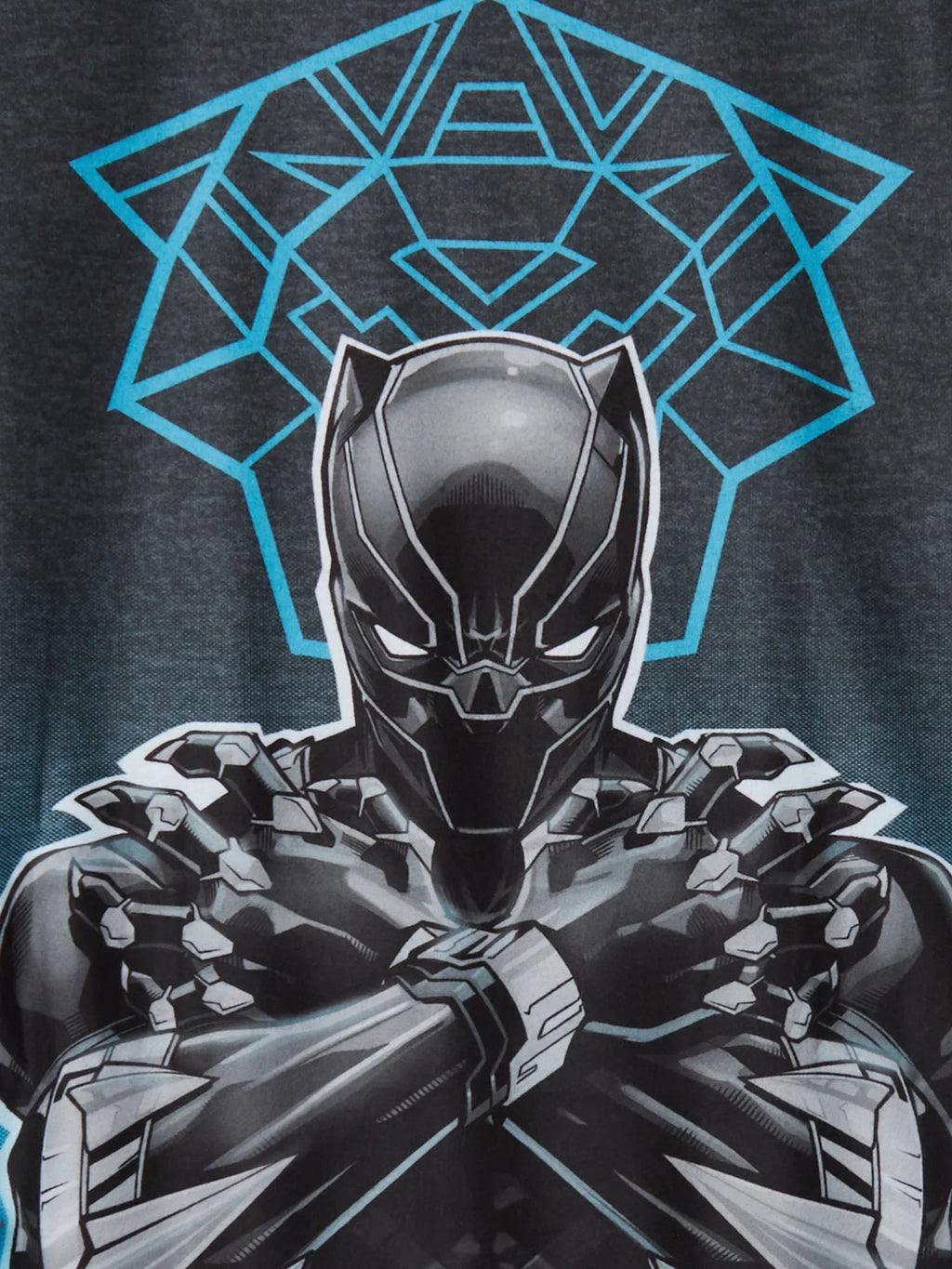 Black Panther Boys Long Sleeve Top and Pants Pajama Sleep Set; 2-Piece; Sizes 4-12