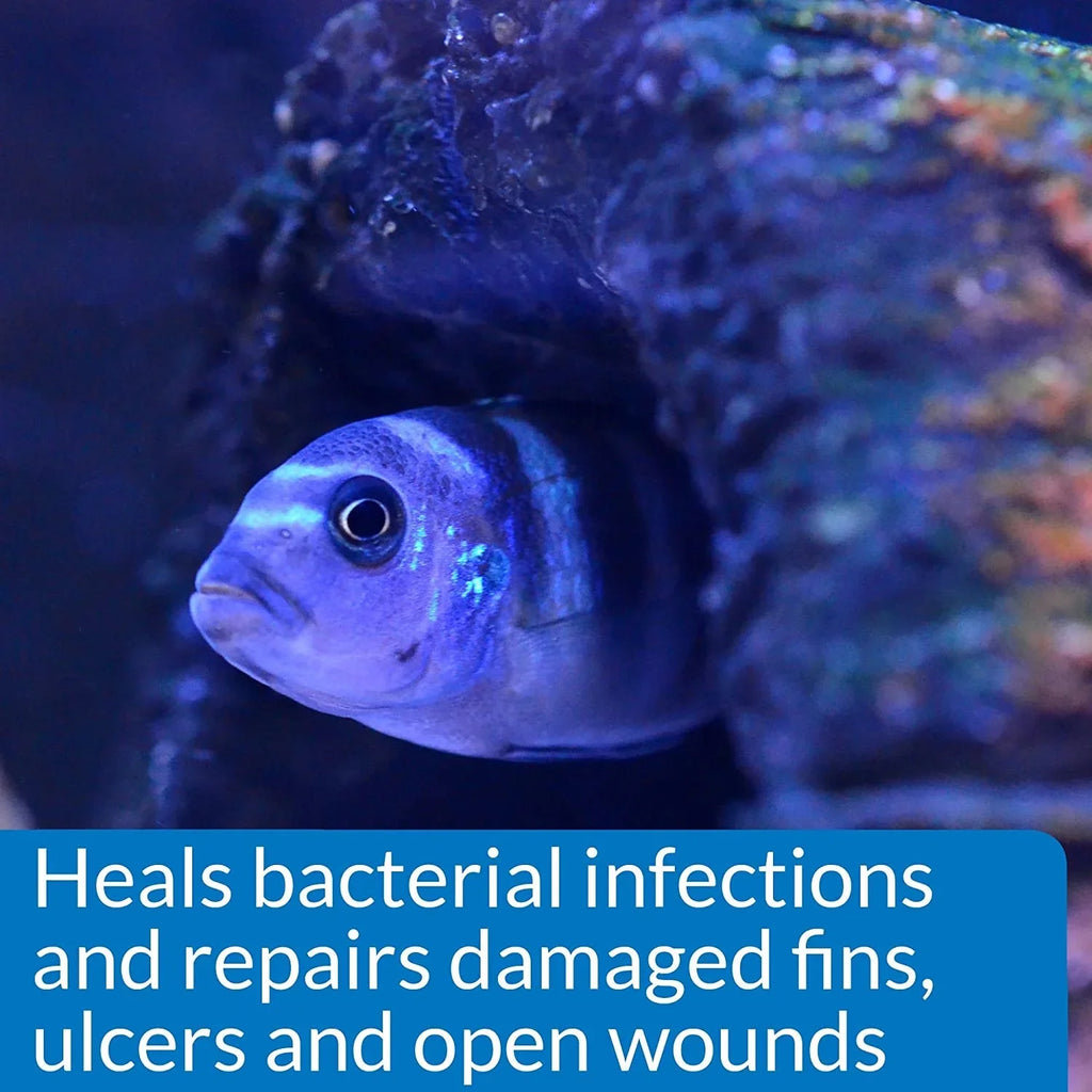 API MelaFix Treats Bacterial Infections for Freshwater and Saltwater Aquarium Fish [Aquarium Bacteria and Fungus Care; Aquarium Supplies] 32 oz (4 x 8 oz)