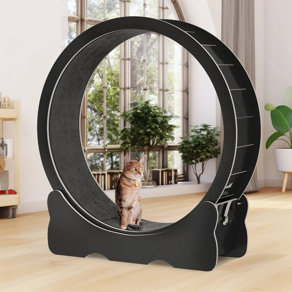 Dextrus Cat Wheel Exerciser for Indoor Cats; 43.3 inch Large Cat Exercise Running Wheel Treadmill with Ultra Low Noise and Detachable Carpet for Cat's Fitness and Health