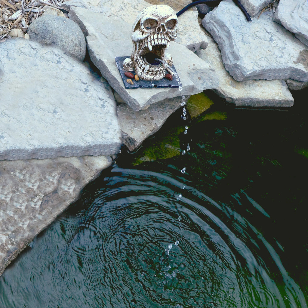 Custom Pro Skull Statuary Fountain Spitter Decorative Outdoor Feature
