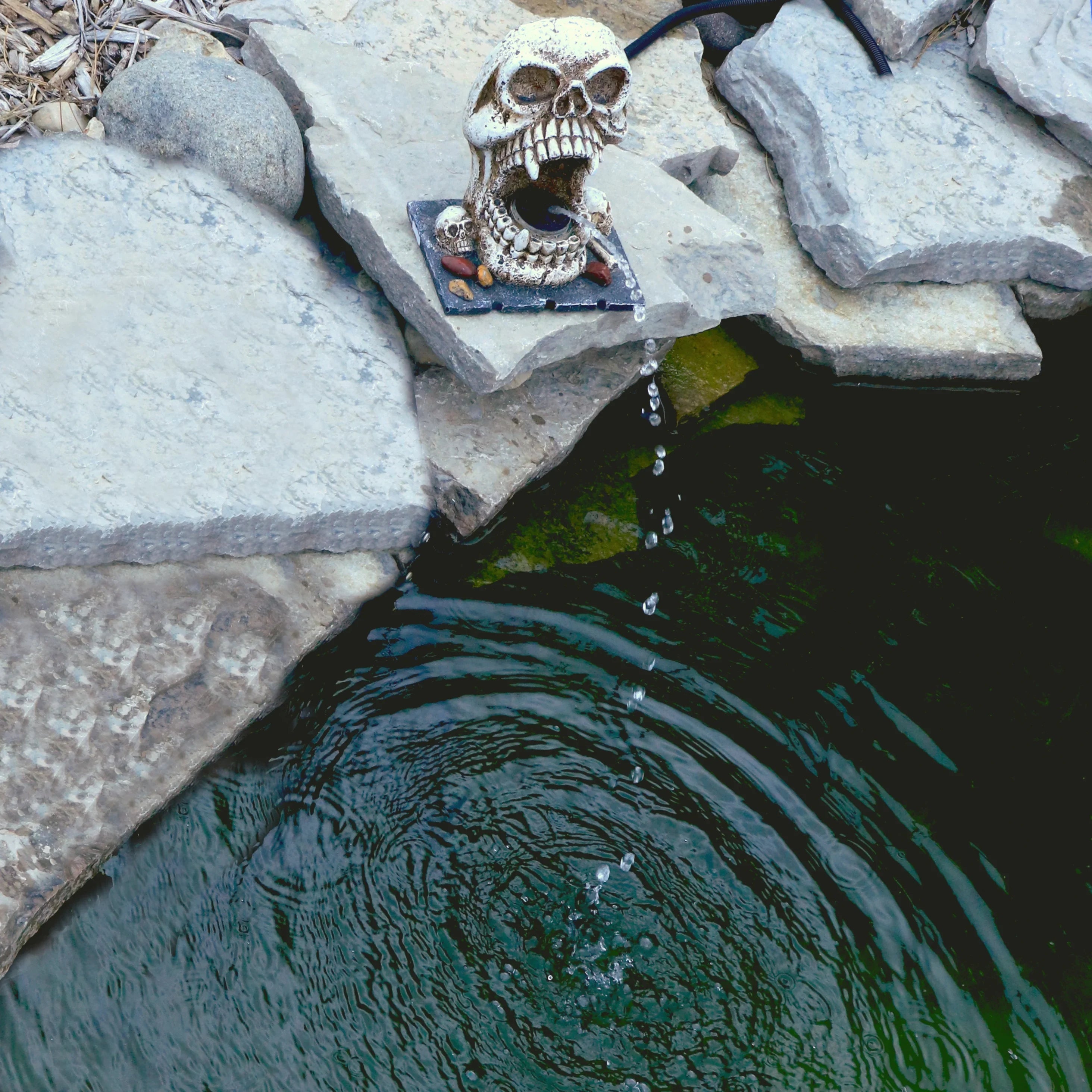 Custom Pro Skull Statuary Fountain Spitter Decorative Outdoor Feature