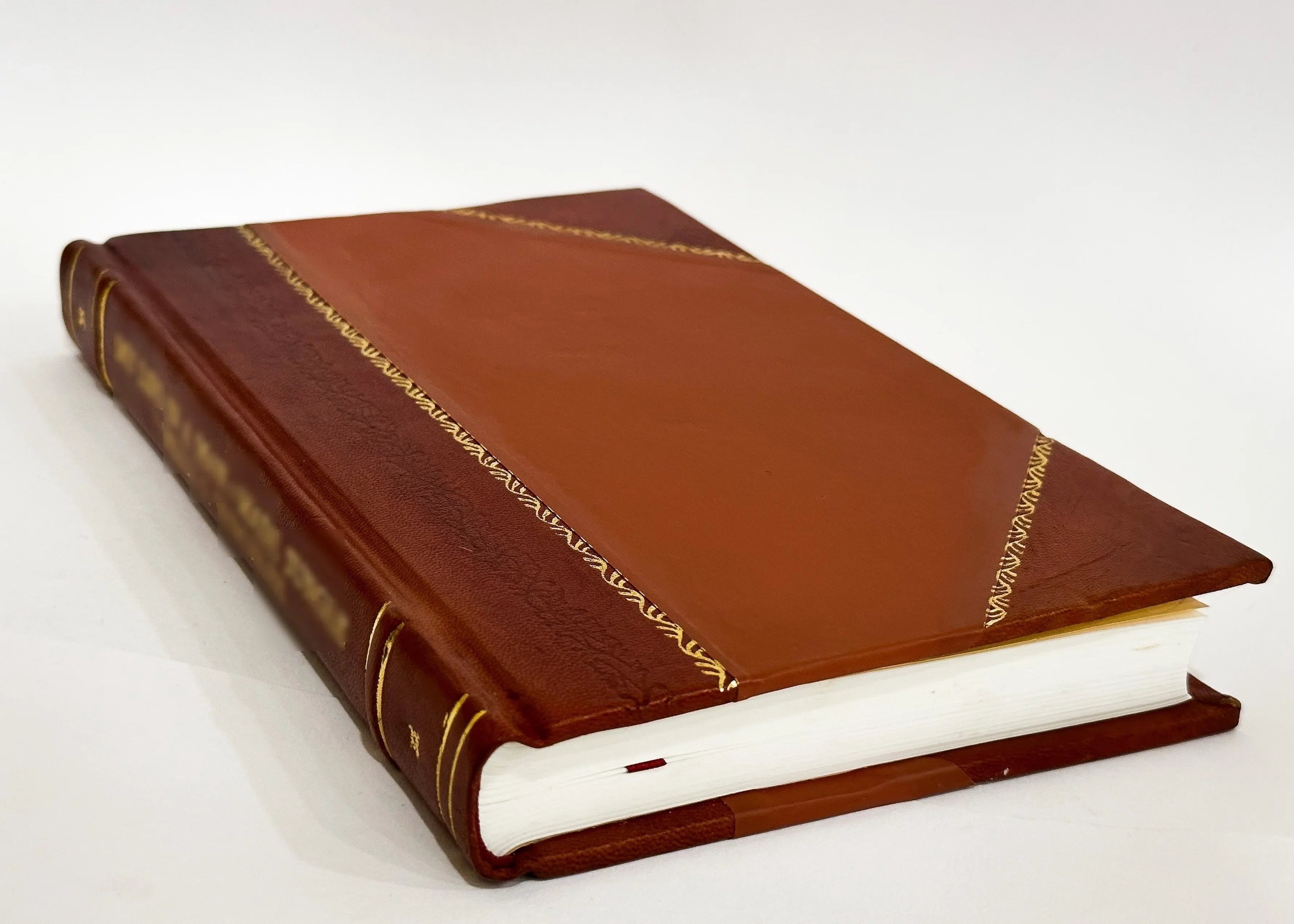 La Teoria Di Darwin / Giovanni Canestrini (1880) (1880) [Leather Bound]