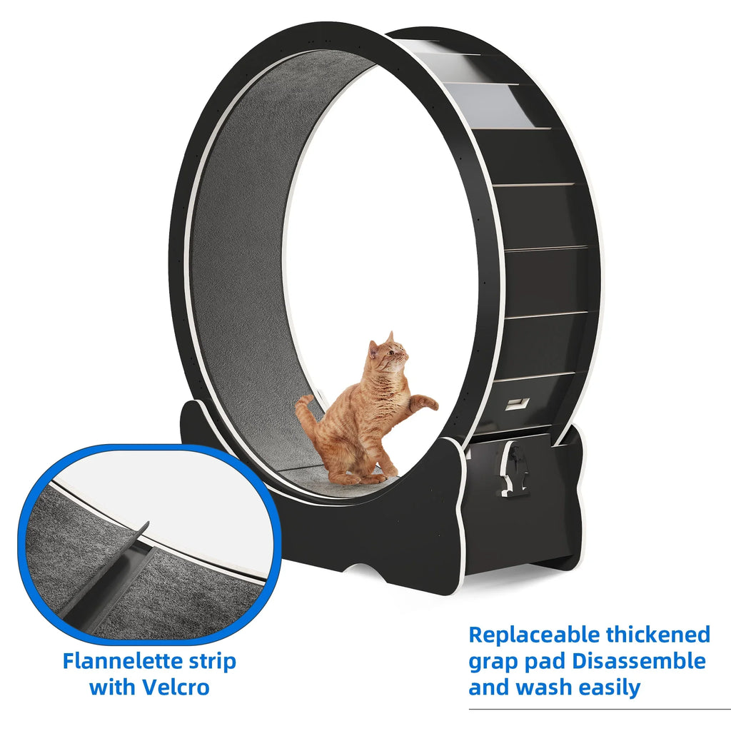 Dextrus Cat Wheel Exerciser for Indoor Cats; 43.3 inch Large Cat Exercise Running Wheel Treadmill with Ultra Low Noise and Detachable Carpet for Cat's Fitness and Health