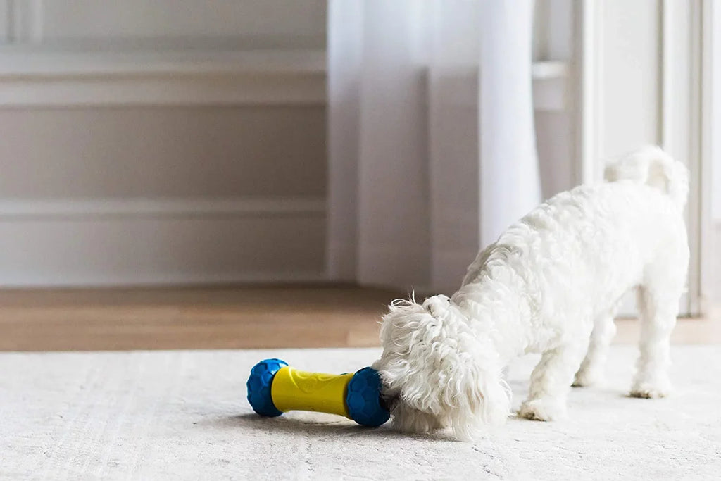 JW Robo Bone Auto Rolling Dog Treat Toy