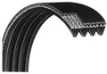 Precor d&d Secondary Pulley Drive Belt 10217-108 Works 846 C846 Recumbent Upright Bike