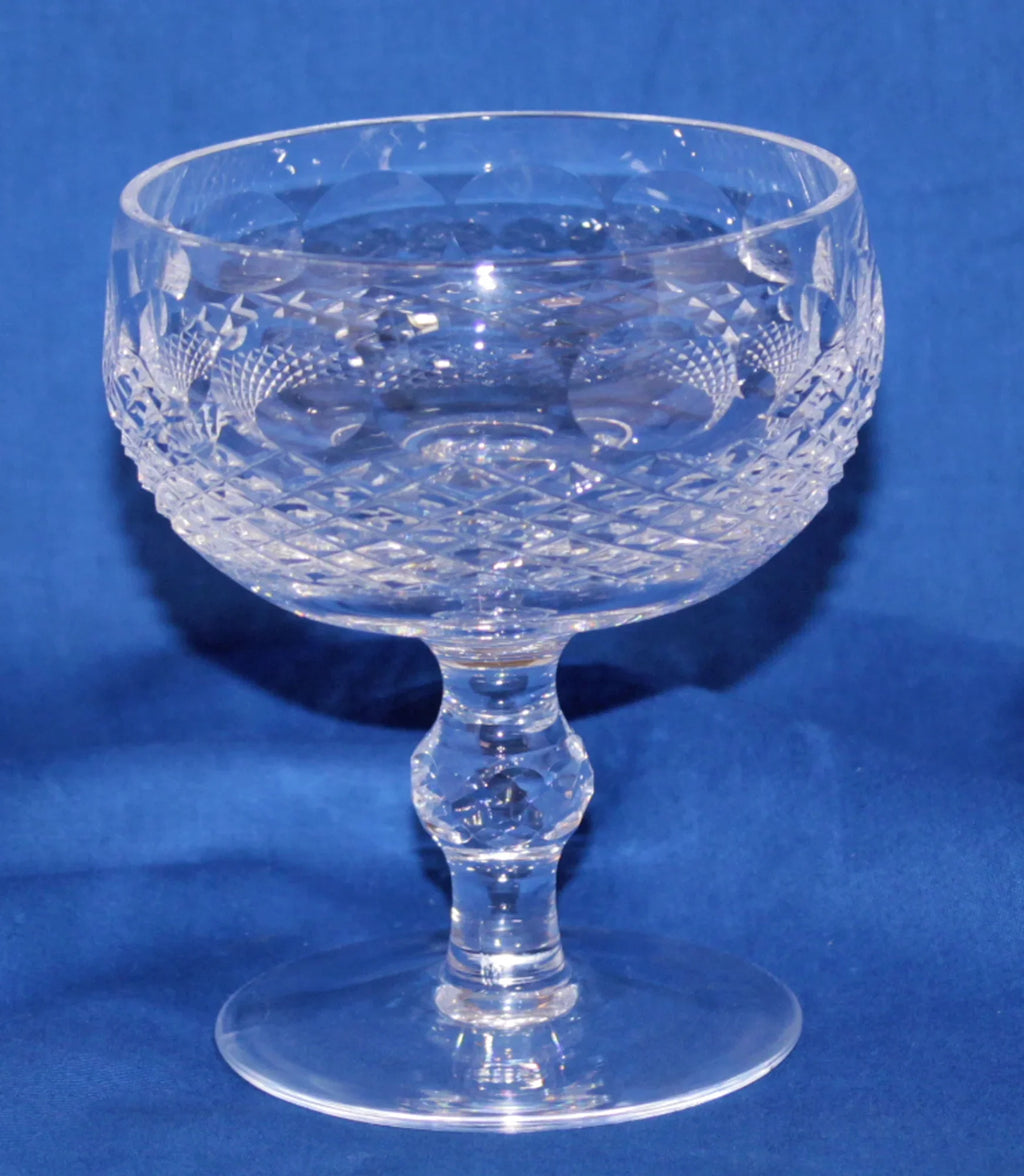 Fluidford Stemware: 4.3" Tall Champagne Sherbet - Colleen - Short Stem | No Box