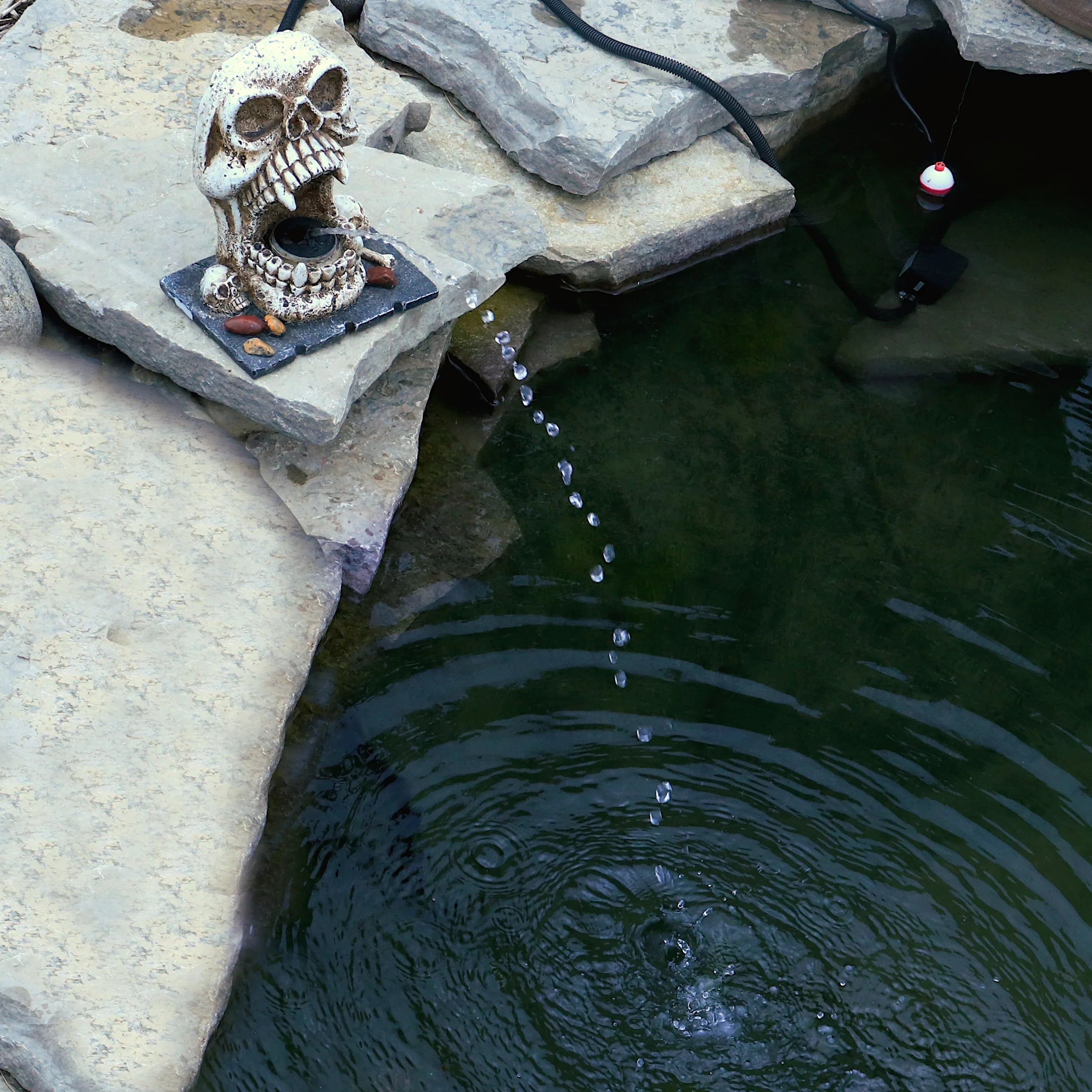 Custom Pro Skull Statuary Fountain Spitter Decorative Outdoor Feature
