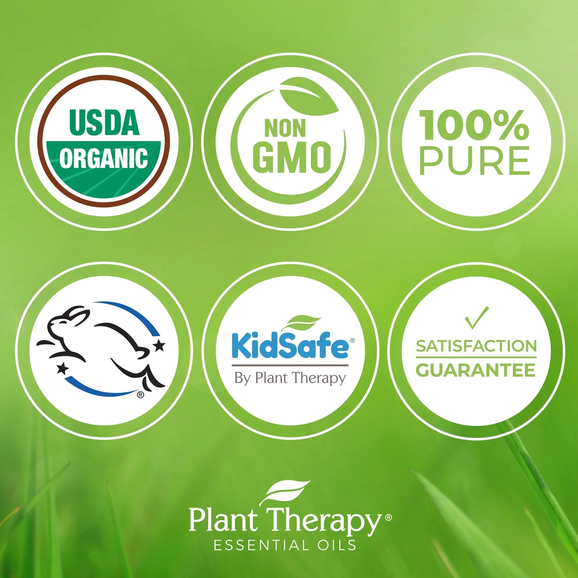 Plant Therapy Organic Tea Tree Oil (Melaleuca) 100% Pure; USDA Certified Organic; Undiluted; Natural Aromatherapy; Therapeutic Grade 100 mL (3.3 oz)