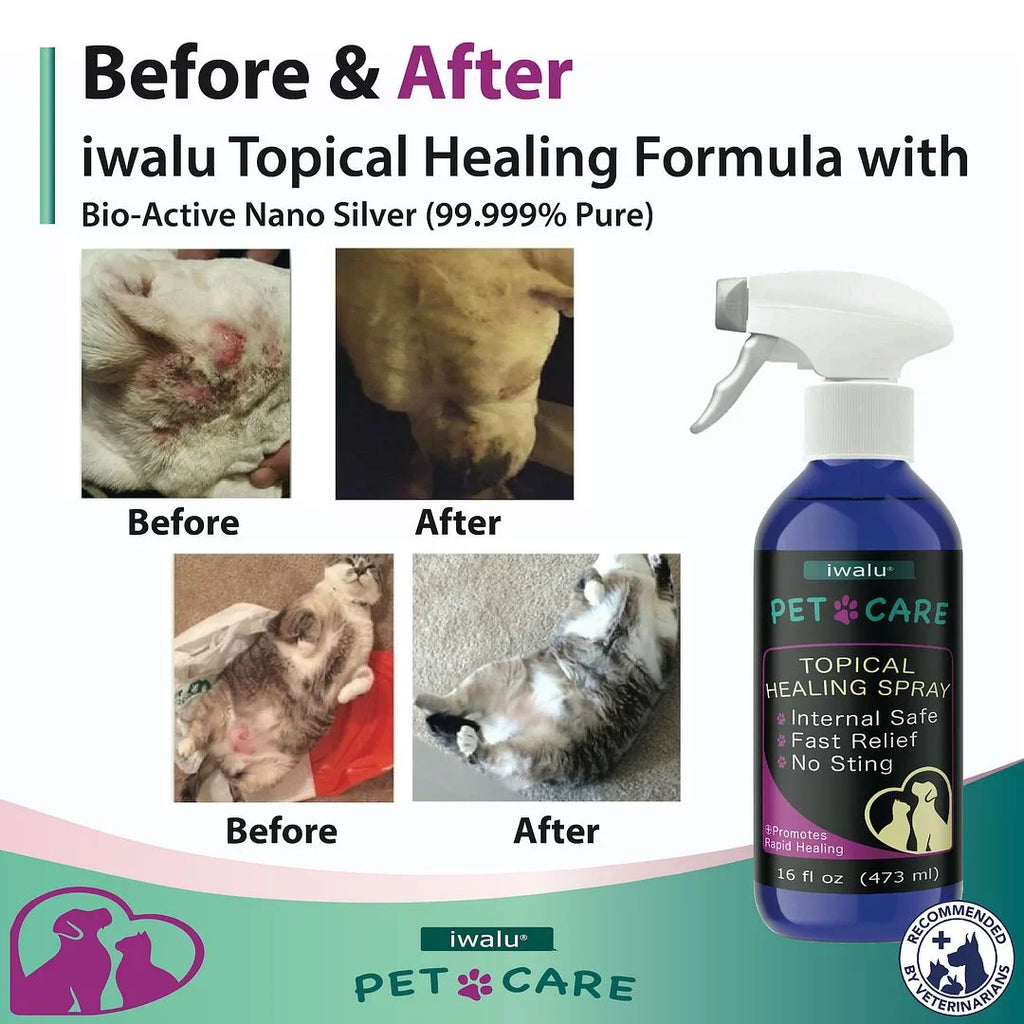 Allergy Medication For Dog Cat Itchy Skin Relief Dog Skin And Coat Supplement Anti Itch Relief Anti Hot Spot Paw Cleaner Soother Treatment Best Dog Moisturizer For Dry Skin Pet Wound Care Apply (16oz)
