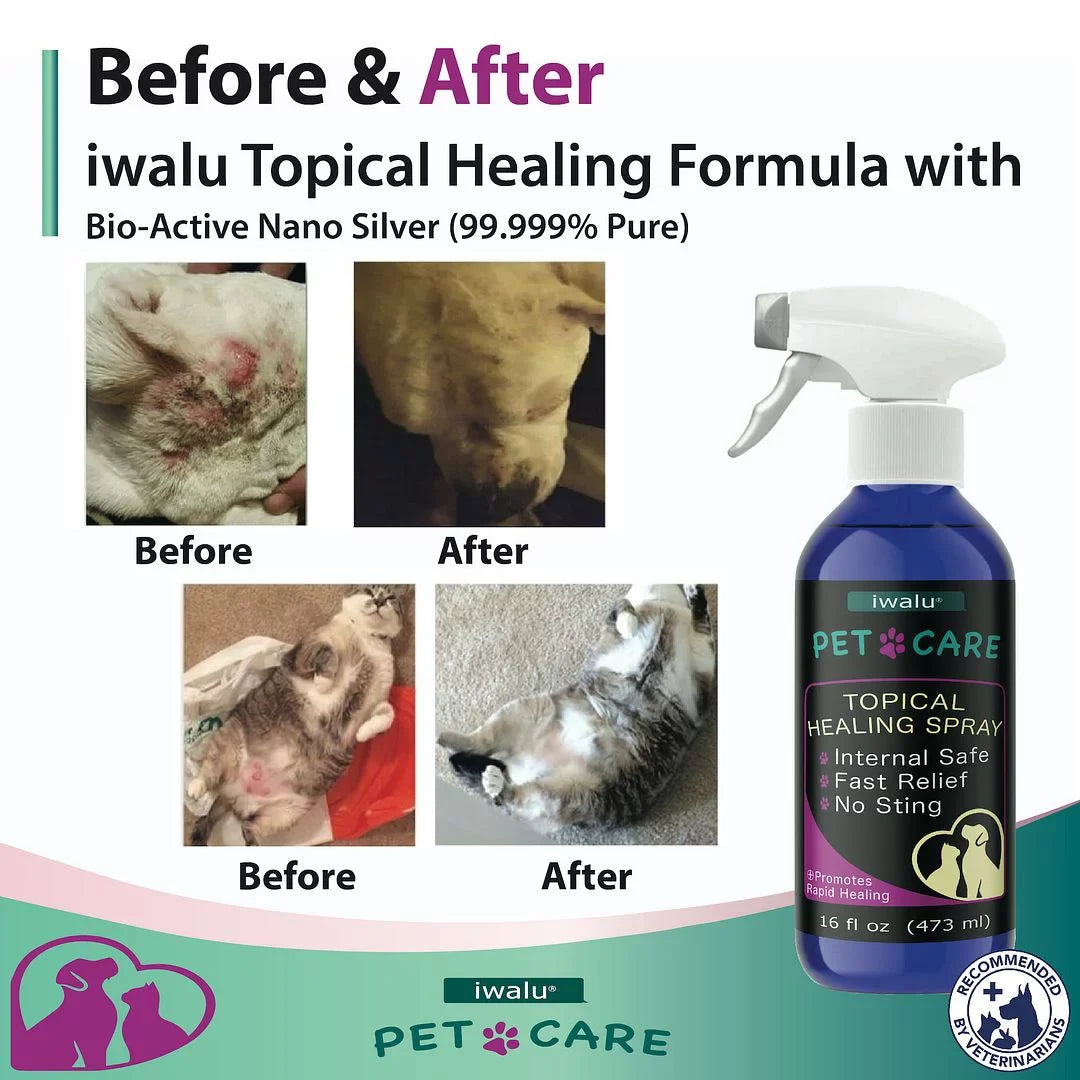 Allergy Medication For Dog Cat Itchy Skin Relief Dog Skin And Coat Supplement Anti Itch Relief Anti Hot Spot Paw Cleaner Soother Treatment Best Dog Moisturizer For Dry Skin Pet Wound Care Apply (16oz)