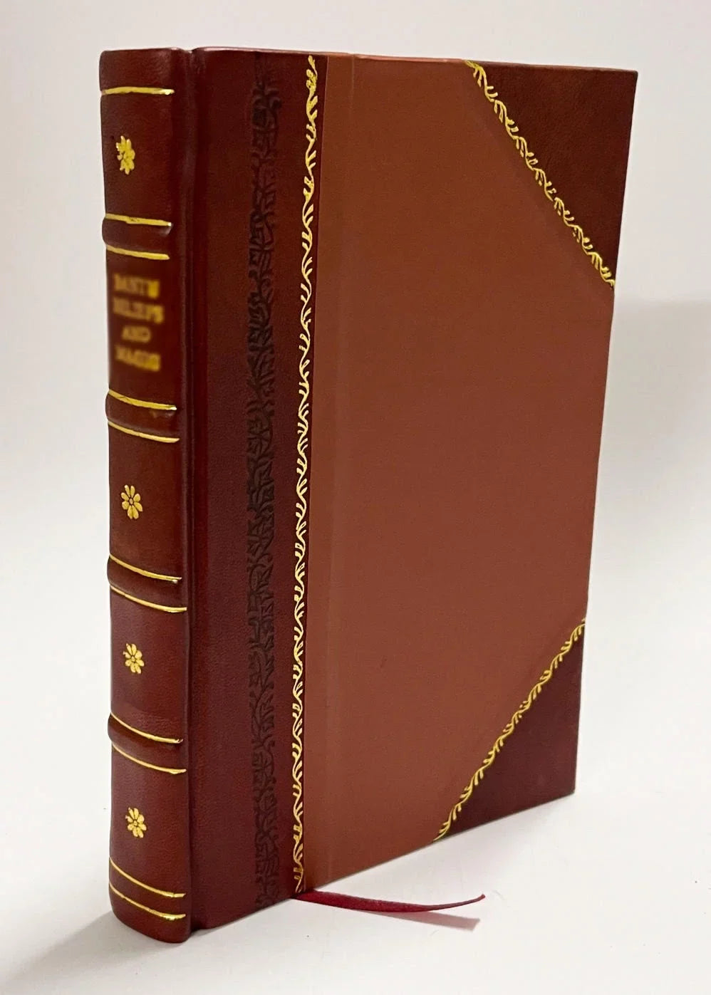 La Teoria Di Darwin / Giovanni Canestrini (1880) (1880) [Leather Bound]