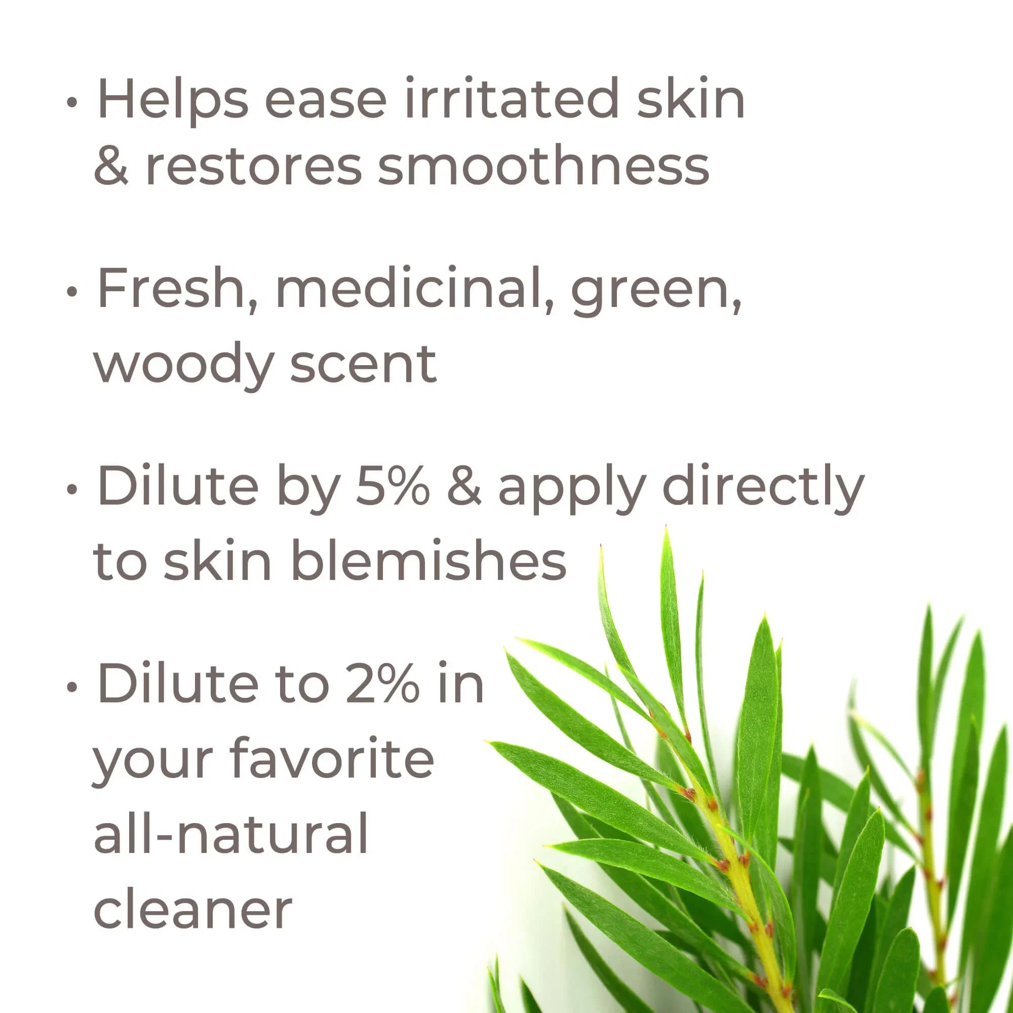 Plant Therapy Organic Tea Tree Oil (Melaleuca) 100% Pure; USDA Certified Organic; Undiluted; Natural Aromatherapy; Therapeutic Grade 100 mL (3.3 oz)