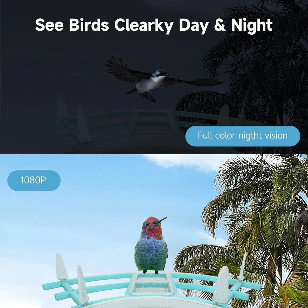 Pristin camera;Video Vico App WiFi Wireless Camera Resolution PIR AI Species Solar Powered Feeder Camera RUSUO Squirrel Proof feeders Camera 1080P Camera Wi-Fi 1080P Video