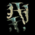 Rainforest Spiritual Enslavement - Jellyfish Reproduce Black Magic - Vinyl
