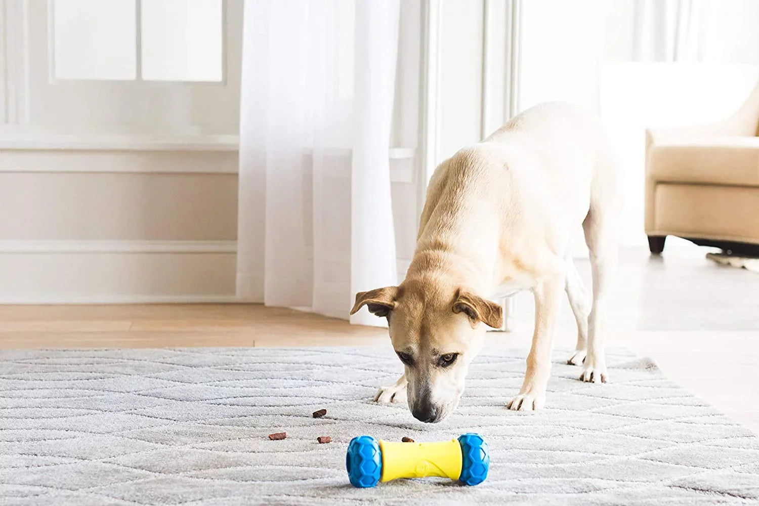 JW Robo Bone Auto Rolling Dog Treat Toy