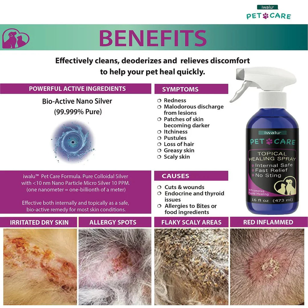 Allergy Medication For Dog Cat Itchy Skin Relief Dog Skin And Coat Supplement Anti Itch Relief Anti Hot Spot Paw Cleaner Soother Treatment Best Dog Moisturizer For Dry Skin Pet Wound Care Apply (16oz)